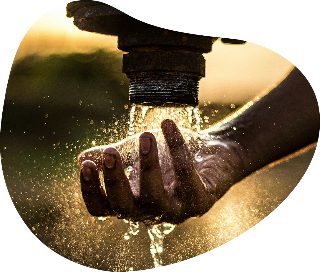 pexels-tasveerwala-2837863-